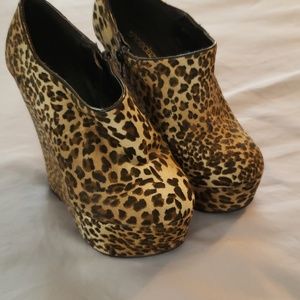 Shoe Dazzle Wedge in Leopard Print